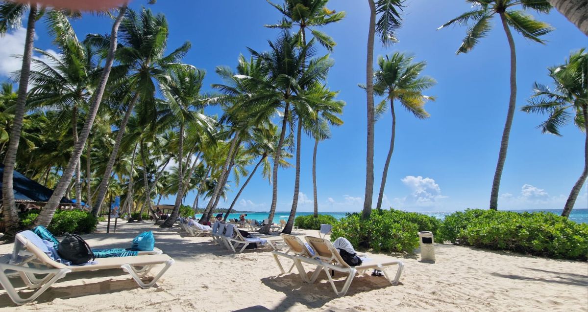 Ausflugsfoto - in La Romana - Dominikanische Republik - Karibik - Kreuzfahrt mit Mein Schiff 2 - 2025 - Bild 3