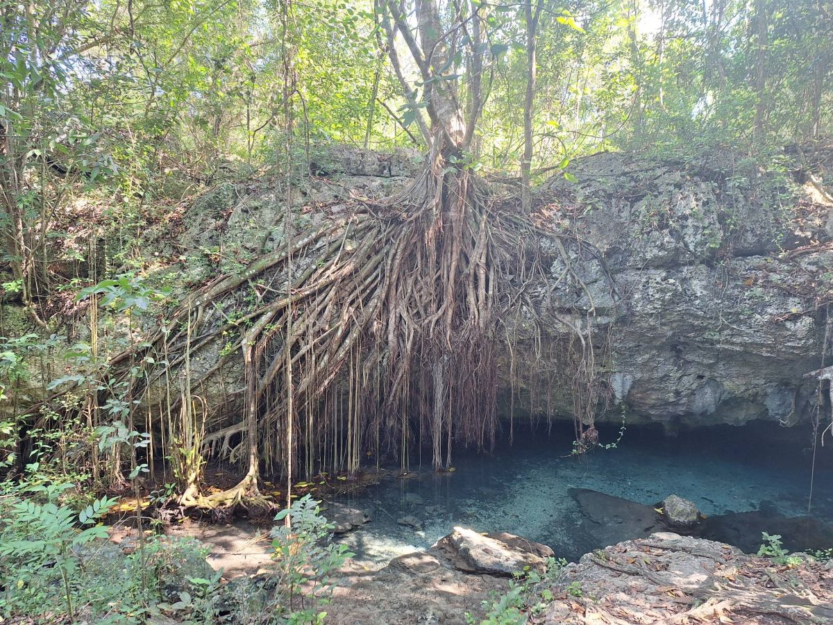 Ausflugsfoto - in La Romana - Dominikanische Republik - Karibik - Kreuzfahrt mit AIDAblu - 2026 - Bild 4