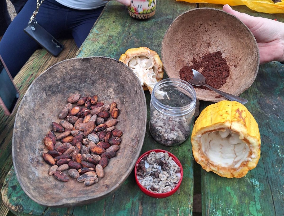 Ausflugsfoto - in La Romana - Dominikanische Republik - Karibik - Kreuzfahrt mit AIDAblu - 2026 - Bild 5