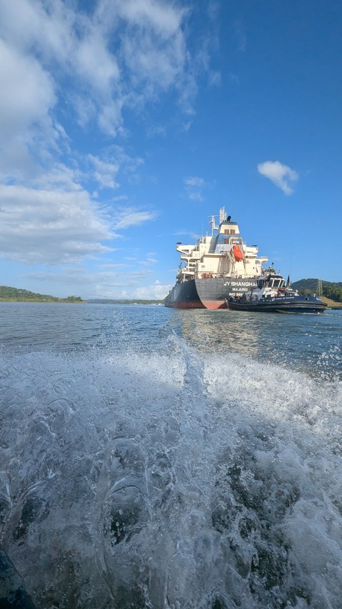 Ausflugsfoto - in Colón - Panama - Karibik - Kreuzfahrt mit AIDAsol - 2026 - Bild 5