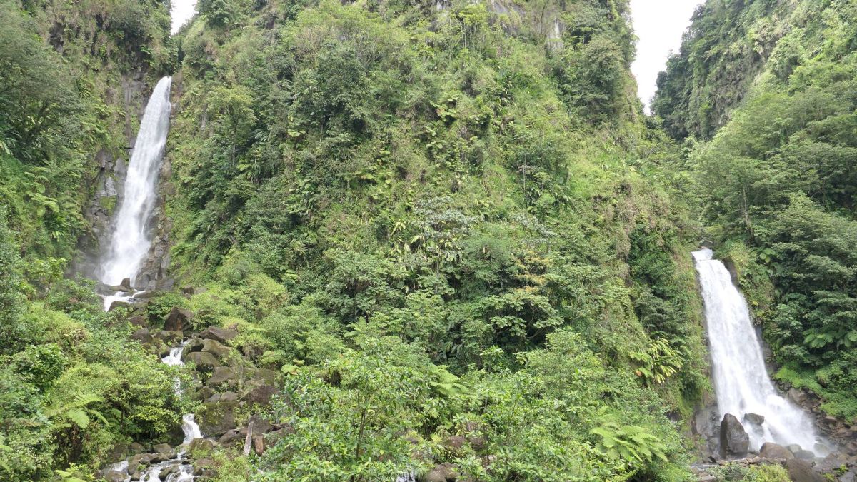 Ausflugsfoto - in Roseau - Dominica - Karibik - Kreuzfahrt mit Mein Schiff 1 - 2026