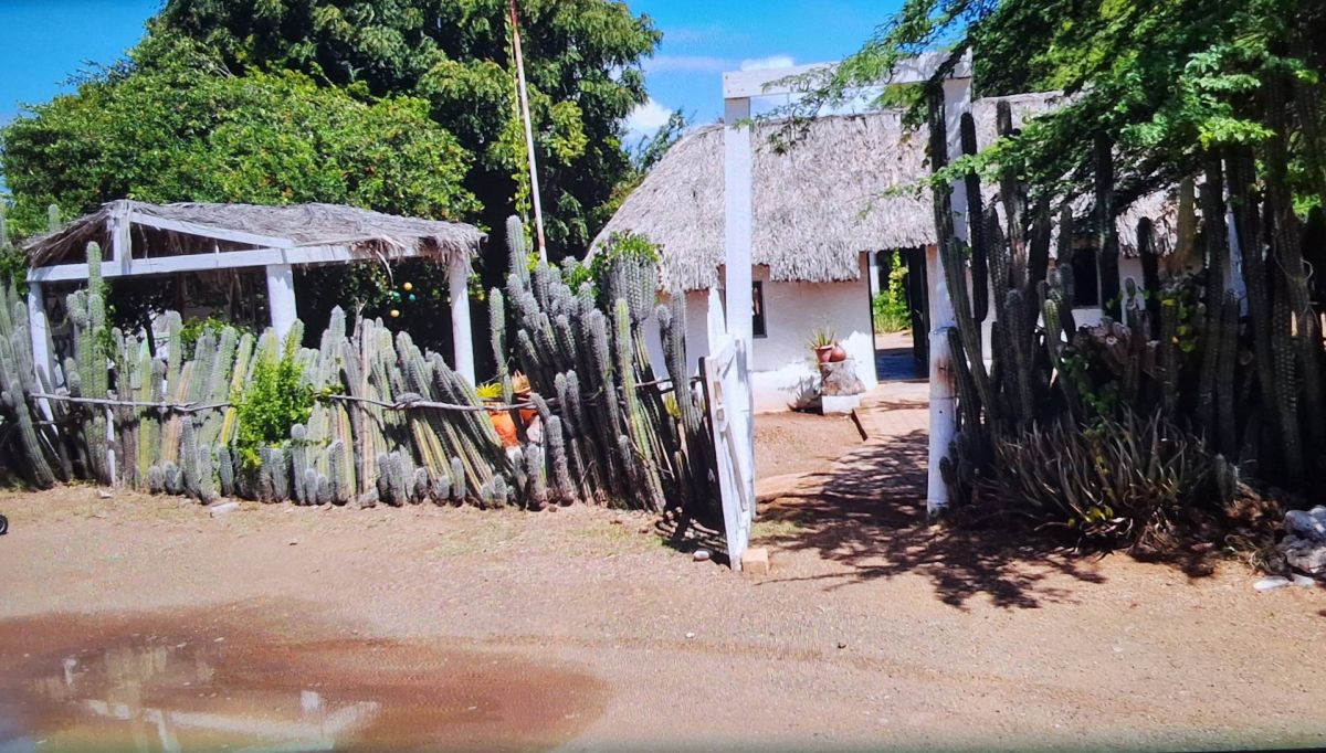 Ausflugsfoto - in Willemstad - Curaçao - Karibik - Kreuzfahrt mit AIDAperla - 2025 - Bild 3
