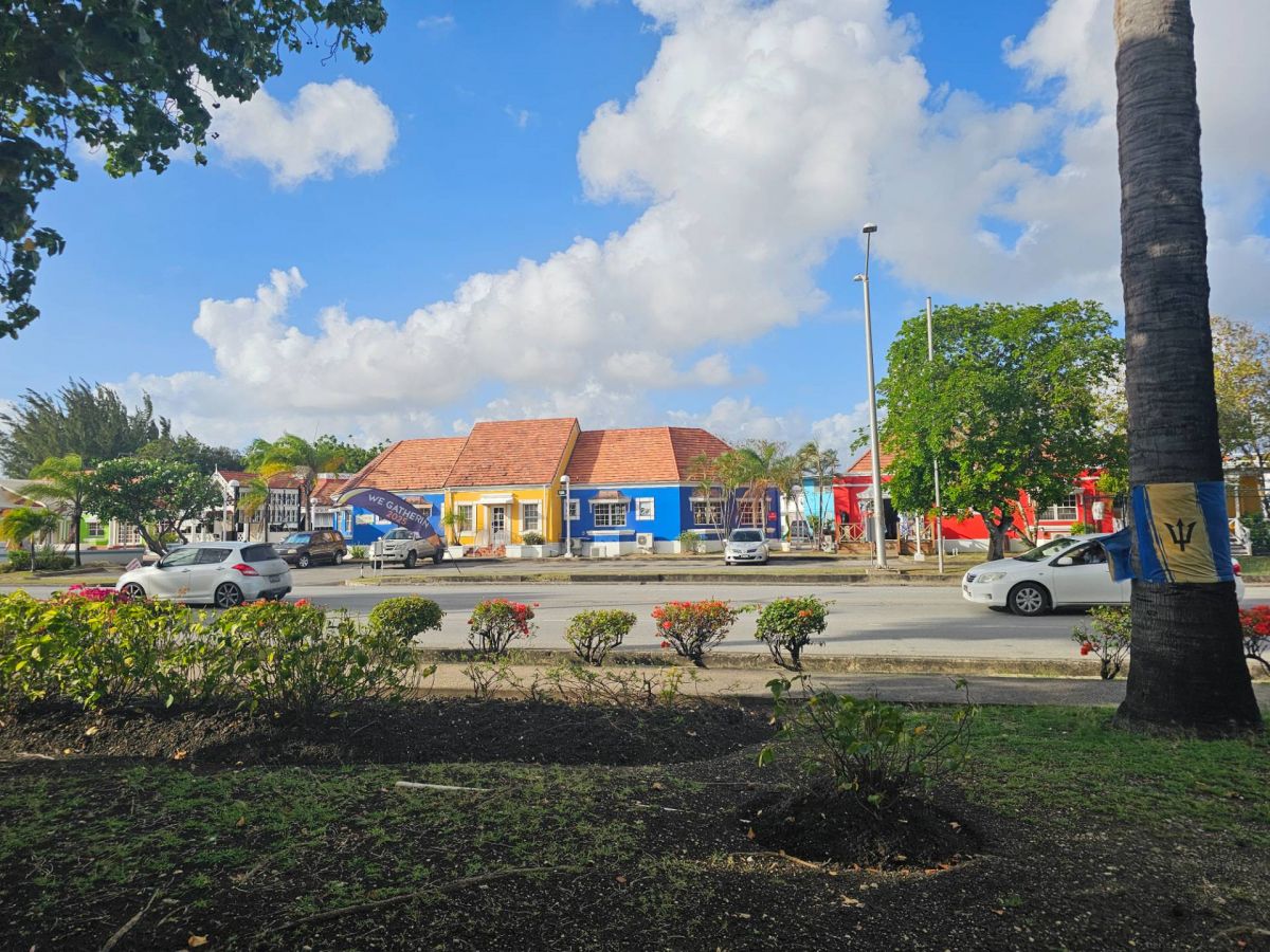 Ausflugsfoto - Kreuzfahrt mit MSC Virtuosa - Region Karibik - 2025 - Bild 4