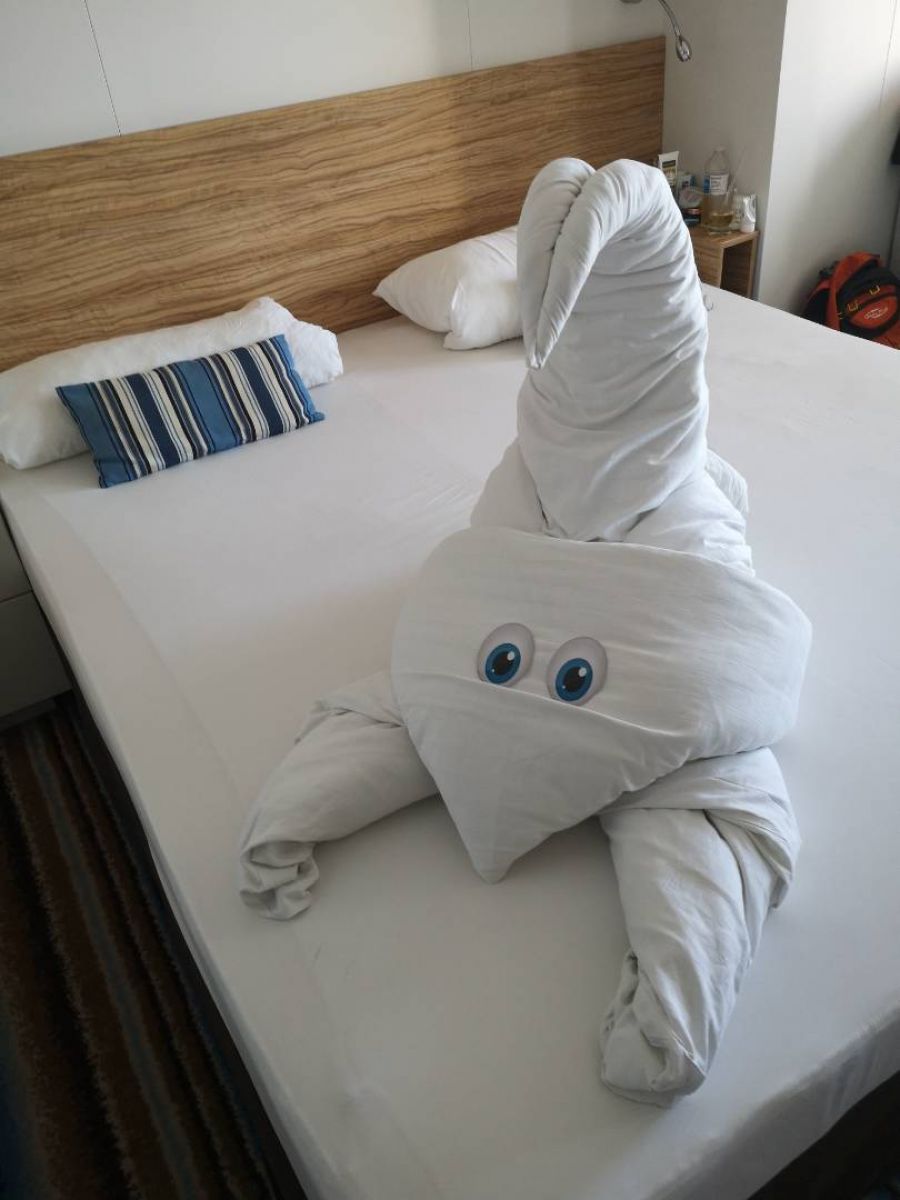 Kabinenfoto - auf Mein Schiff 3 - Balkonkabine - Nummer 8189 - Kreuzfahrt Karibik - 2025 - Bild 3