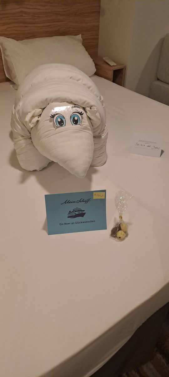 Kabinenfoto - auf Mein Schiff 5 - Balkonkabine - Nummer 9616 - Kreuzfahrt Mittelmeer - 2025