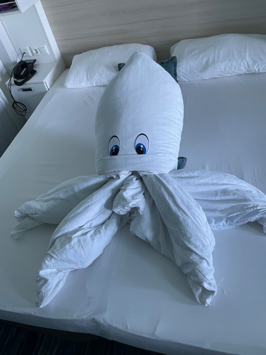 Kabinenfoto - auf Mein Schiff 1 - Balkonkabine - Nummer 9157 - Kreuzfahrt Karibik - 2025