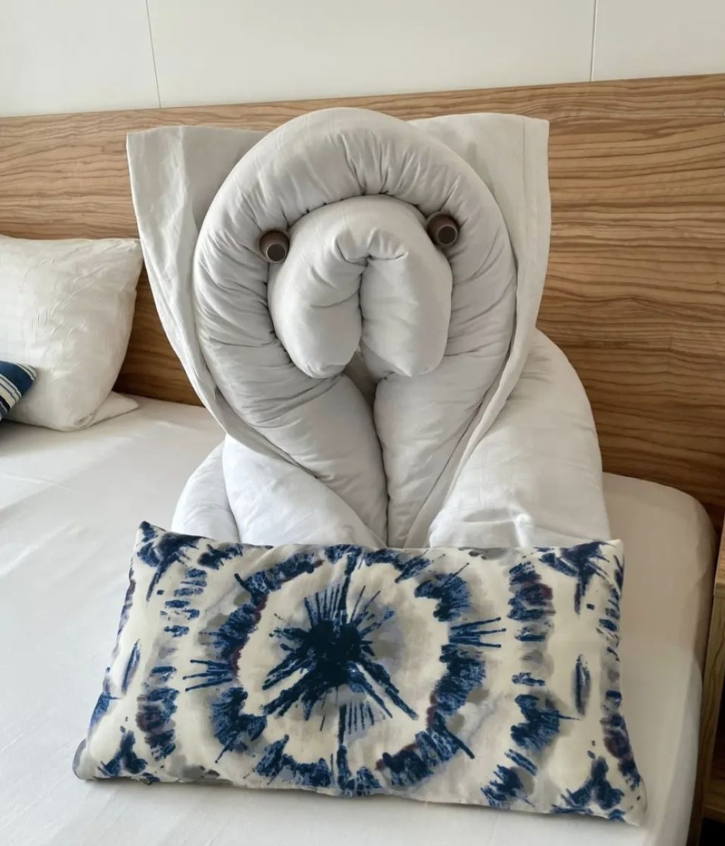 Kabinenfoto - auf Mein Schiff 2 - Balkonkabine - Nummer 9021 - Kreuzfahrt Kanaren - 2025 - Bild 5