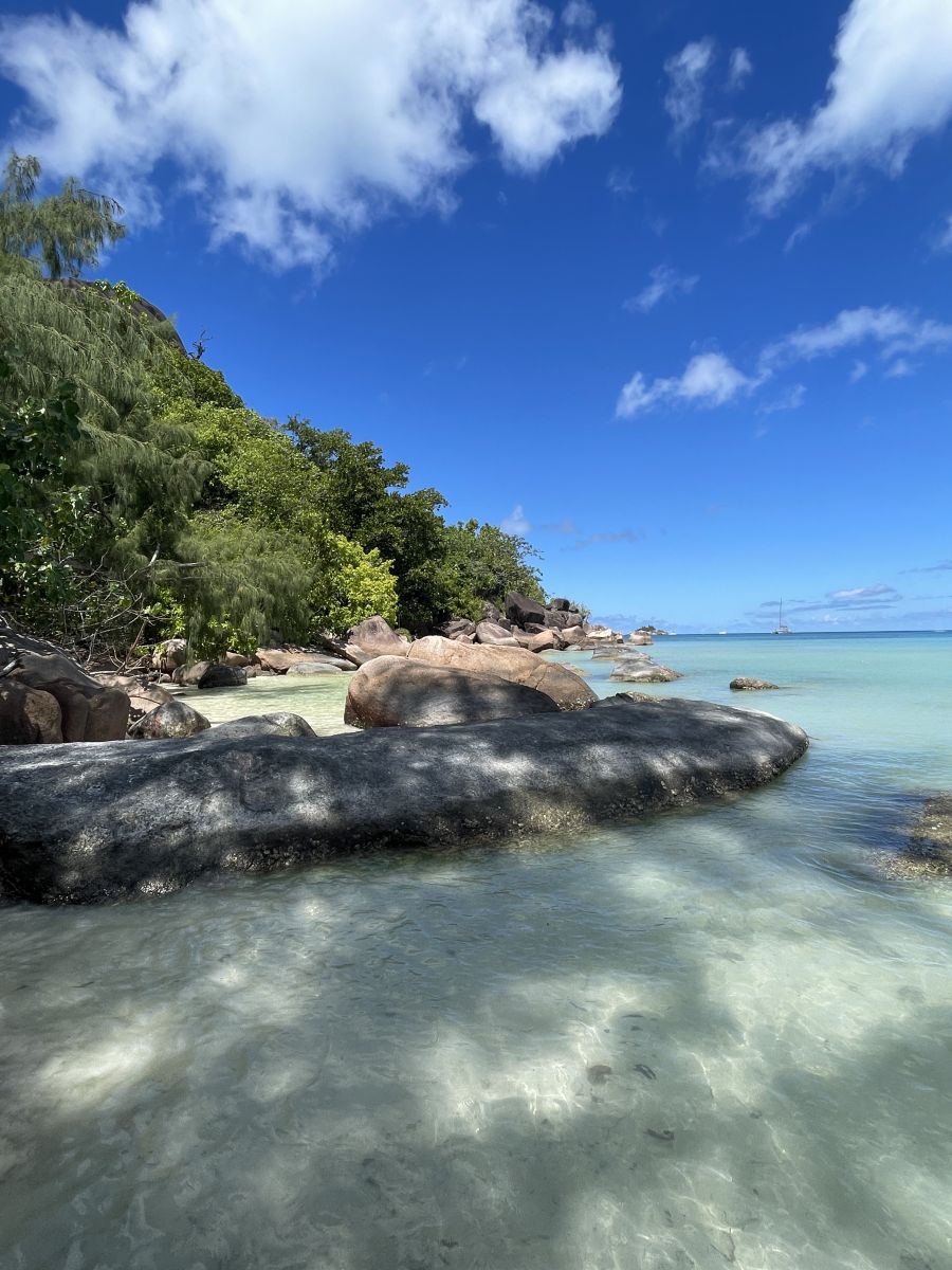 Kabinenfoto - auf AIDAstella - Balkonkabine - Nummer 8249 - Kreuzfahrt Afrika - 2024 - Bild 2