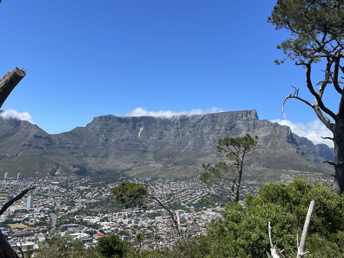 Kabinenfoto - auf AIDAstella - Balkonkabine - Nummer 8249 - Kreuzfahrt Afrika - 2024 - Bild 7