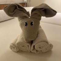 AIDAluna Kabine 6241 – Kabinenfoto