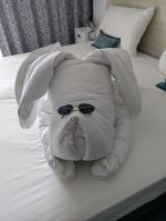 Kabinenfoto - auf Mein Schiff 2 - Balkonkabine - Nummer 10166 - 2026