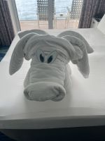 Kabinenfoto - auf Mein Schiff 2 - Balkonkabine - Nummer 7184 - 2026